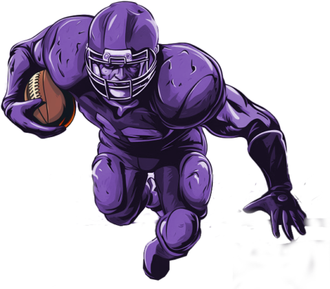 Brett Favre | Vikings Almanac